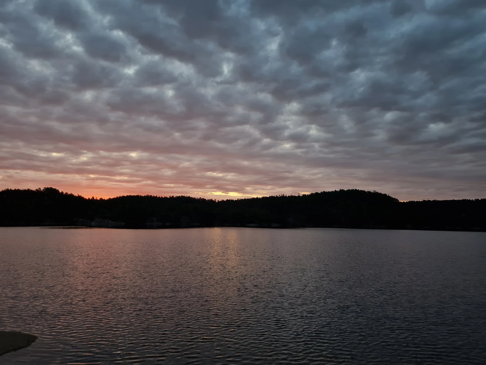 Dawn departure on the final day, heading into the woods toward Björneröd.