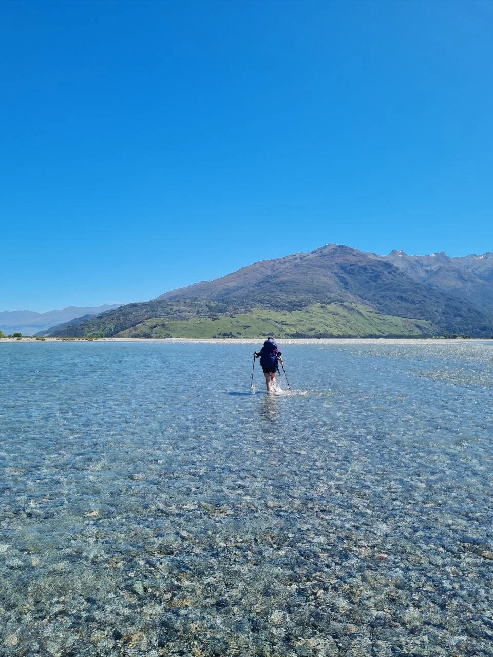 Hiker wading the Young River toward forested mountains, Gillespie Pass Circuit.