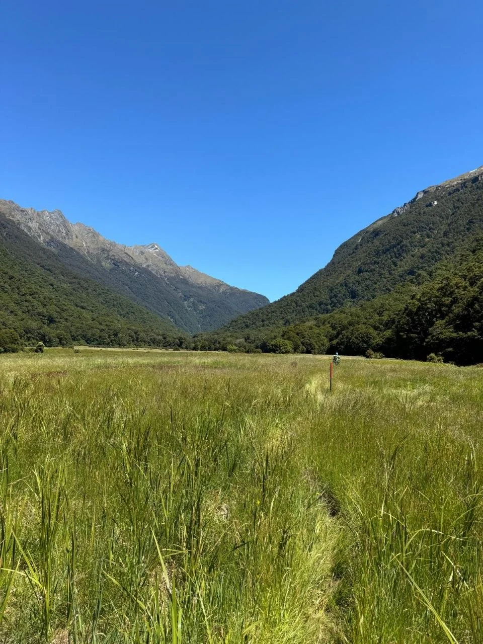 Grassy valley floor with a single track cutting toward steep peaks, Siberia Valley.