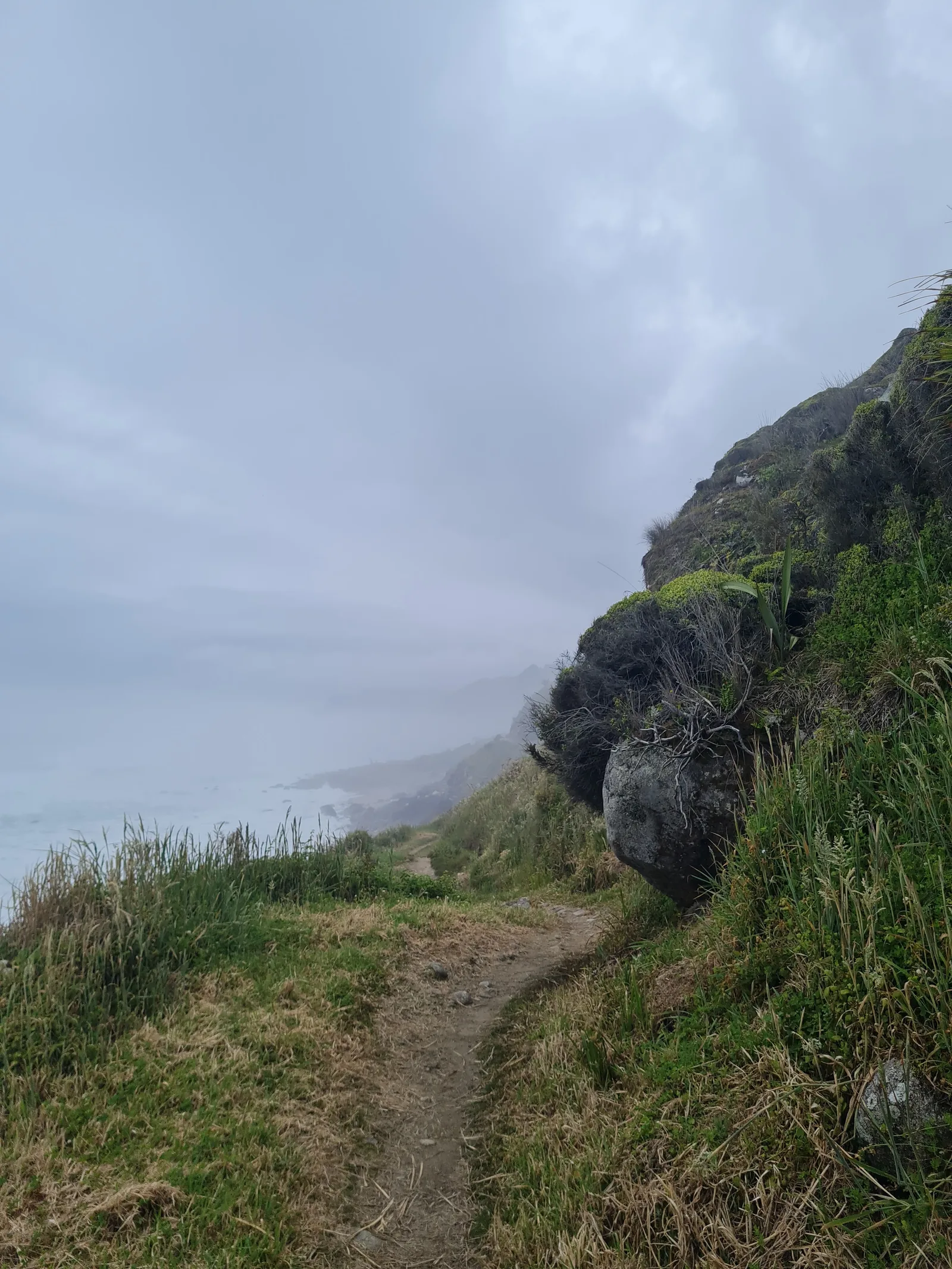 The narrow singletrack hugging coastal bluffs through flax bushes and hardy sea scrub above the misty Tasman coastline.