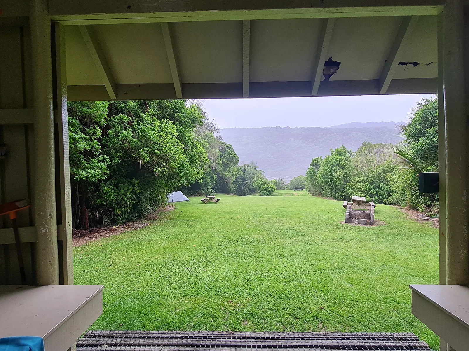 The open wooden veranda of Kōhaihai Shelter looking out across the sheltered campsite lawn, picnic tables, and dense coastal rainforest.