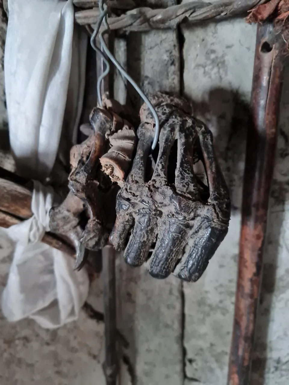 Mummified animal paws hang as ritual offerings at a Mustang region shrine.