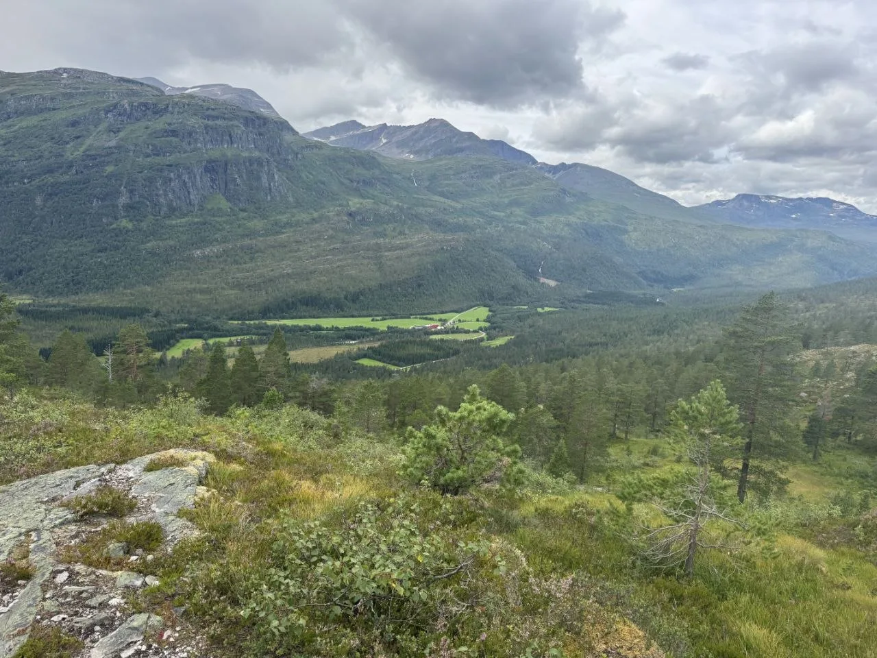 Valley view with dense pine forest and layered mountain ridges