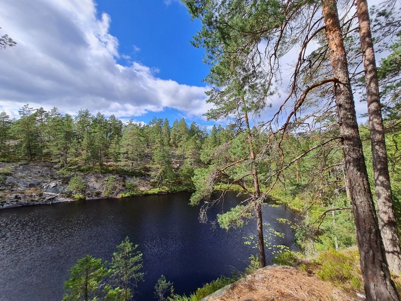 Rocky lakeshore with moss and pine forest