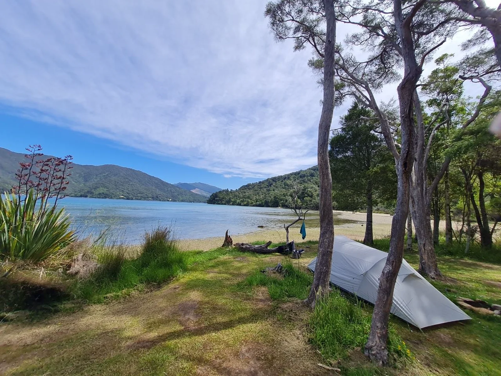 Tent pitched at a coastal campsite by the water's edge