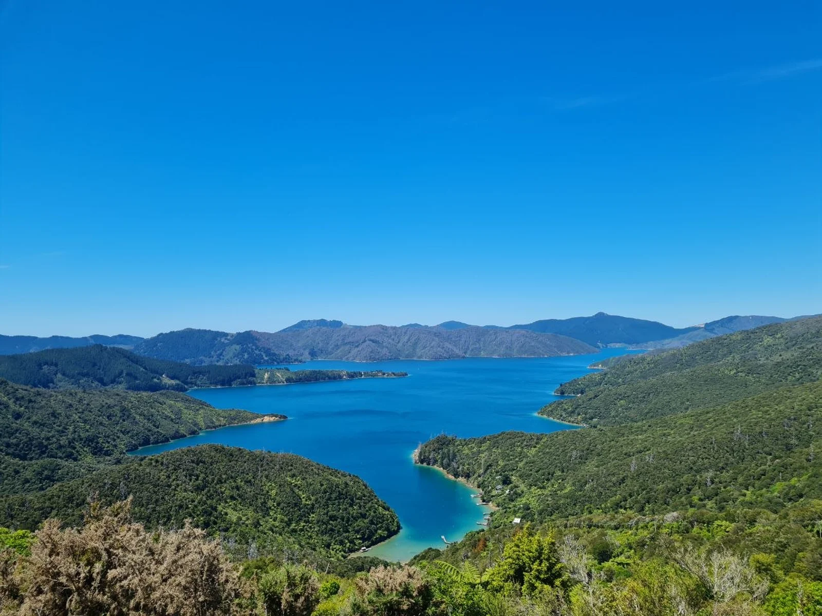 Panoramic view of coastal forest and blue bay with boat docks