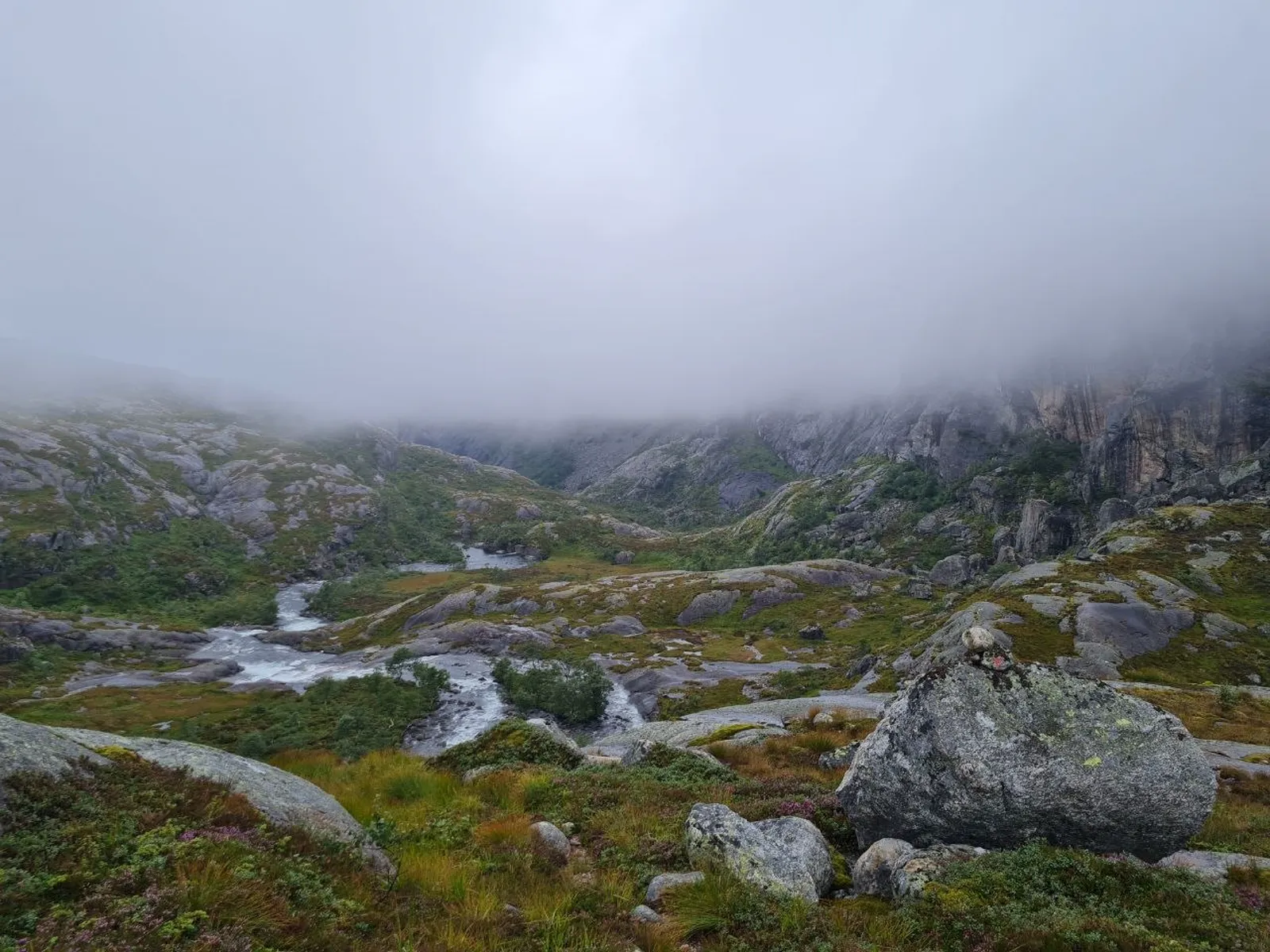 Foggy mountain valley with rushing stream in misty weather