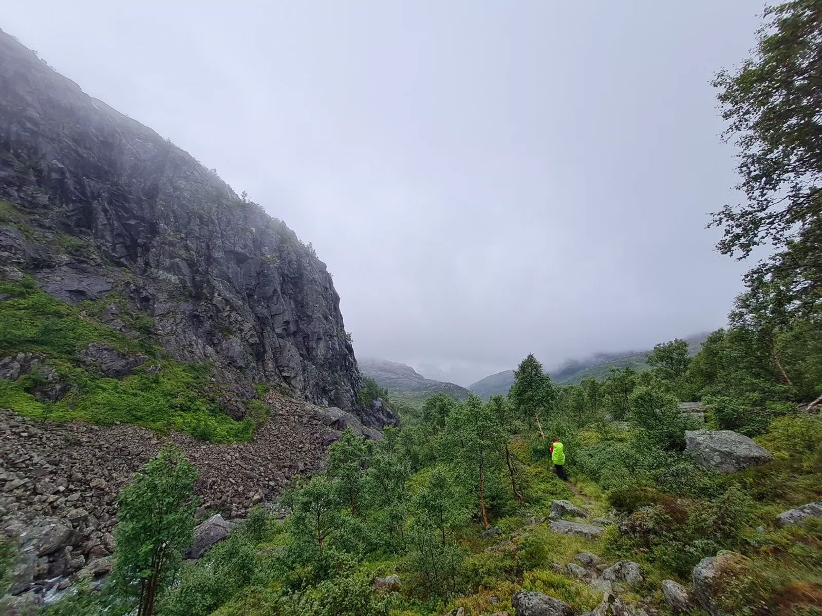 Hiker walks through misty birch valley beneath rocky cliffs in rainy conditions
