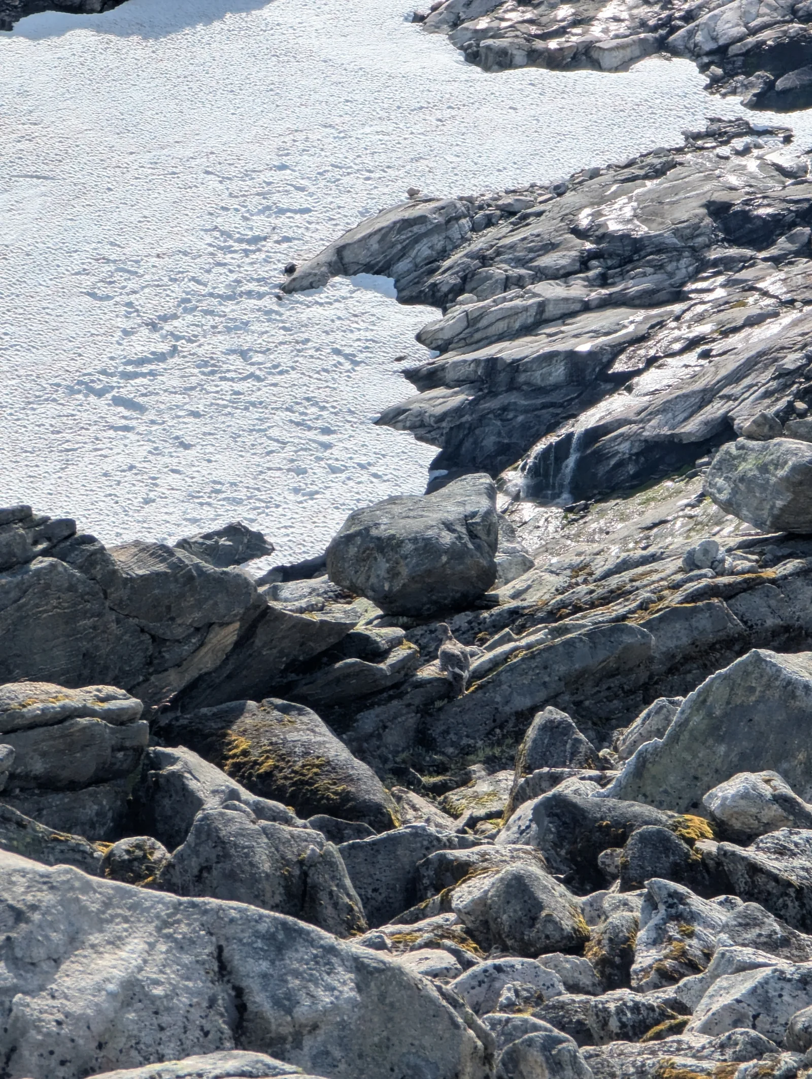 Traversing the exposed high plateau at 1,135 m beneath Urdanipa on Day 5 toward Åsedalen.