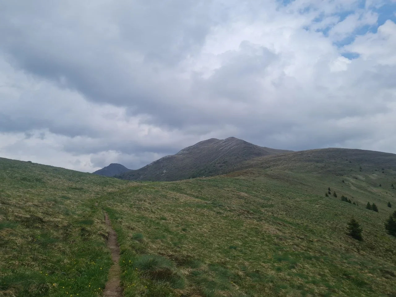 Narrow singletrack traverses open alpine meadows on the approach to Bonner Hut.