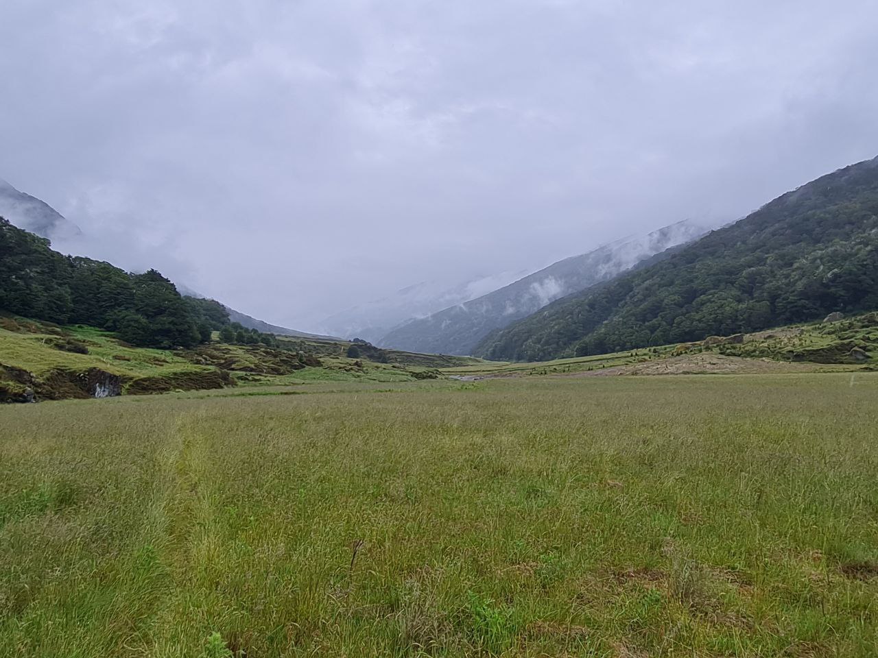 Misty valley view across the grassy flats of the Rees-Dart Track, New Zealand.
