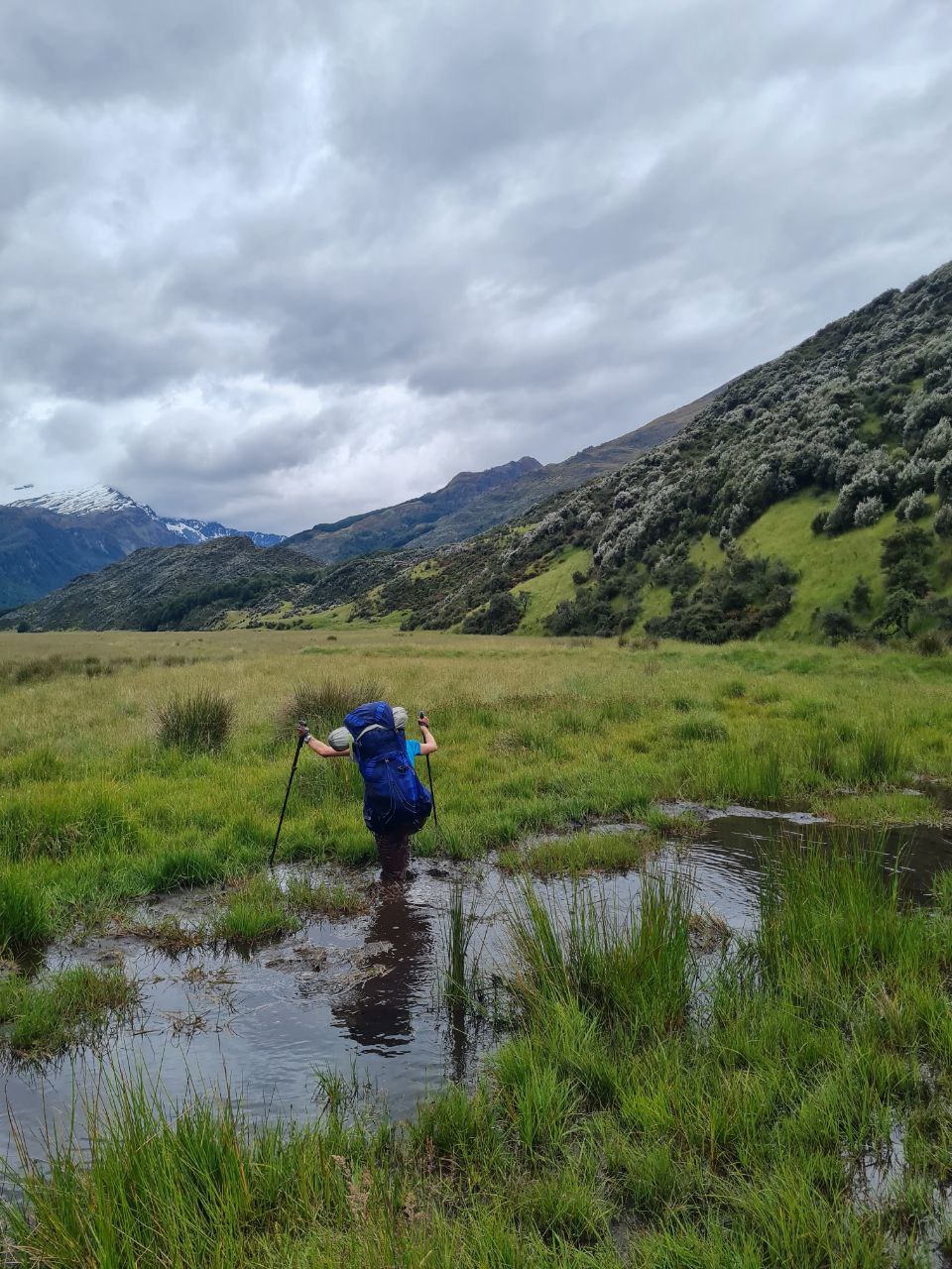 Hiker wading through boggy wetland on the lower Rees Valley flats, Mount Aspiring National Park.