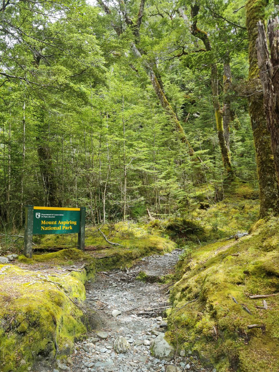 Mount Aspiring National Park DOC sign at the beech forest trail entrance, Rees-Dart Track.
