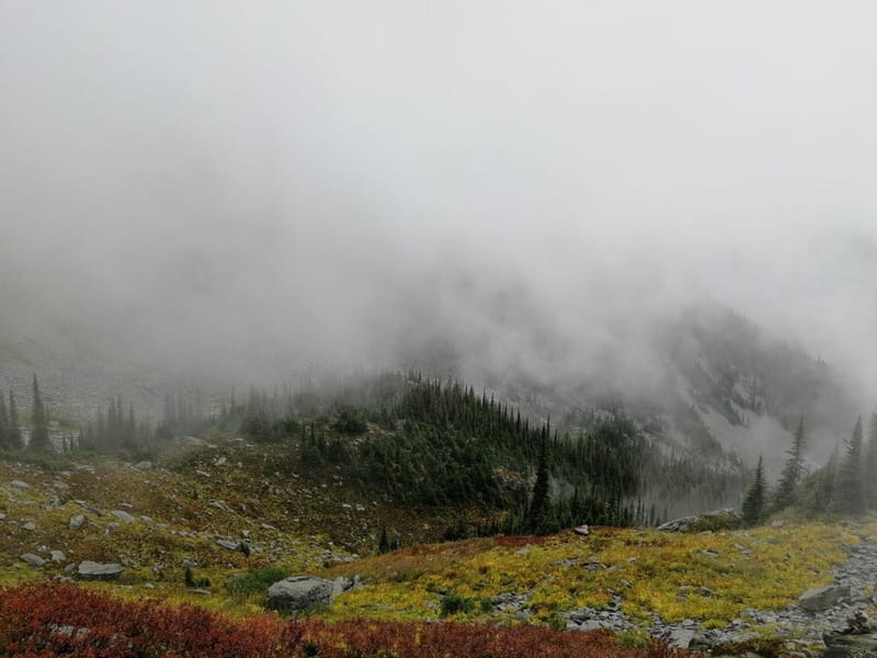 Glacier (CA) – Avalanche Crest Trail