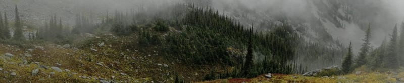 Glacier (CA) – Avalanche Crest Trail