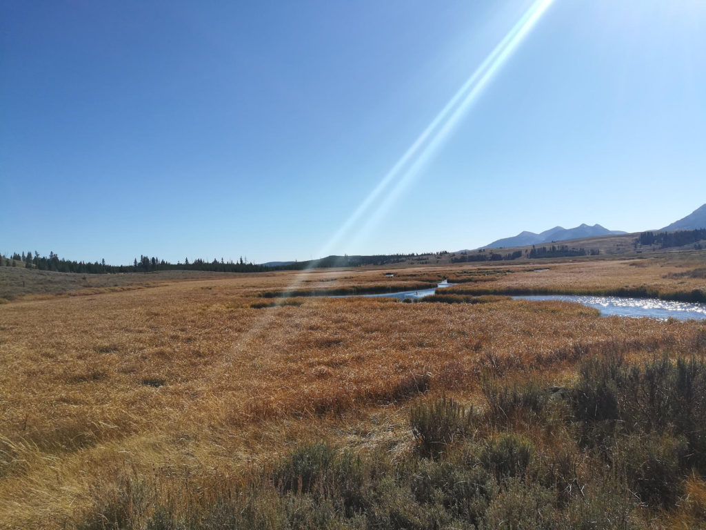 Osprey Falls trail-head
