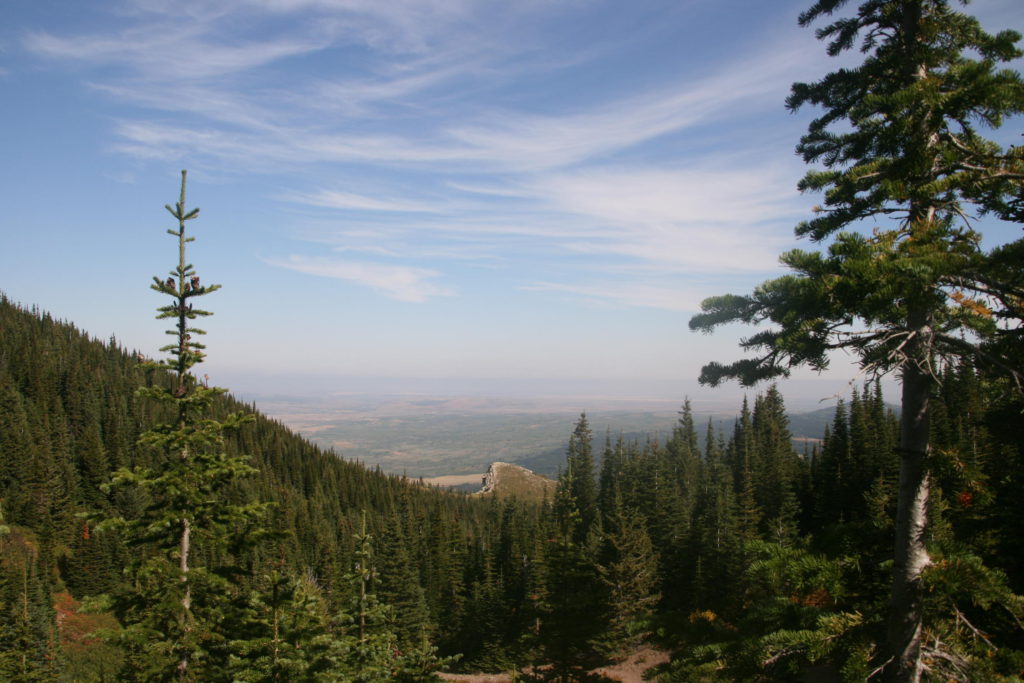 Vimy Peak Route: View of Lions Head