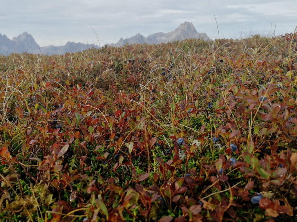 Sillianer Hütte Loop
